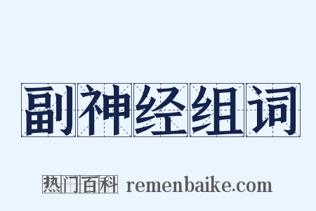 副神经组词是什么意思的图片
